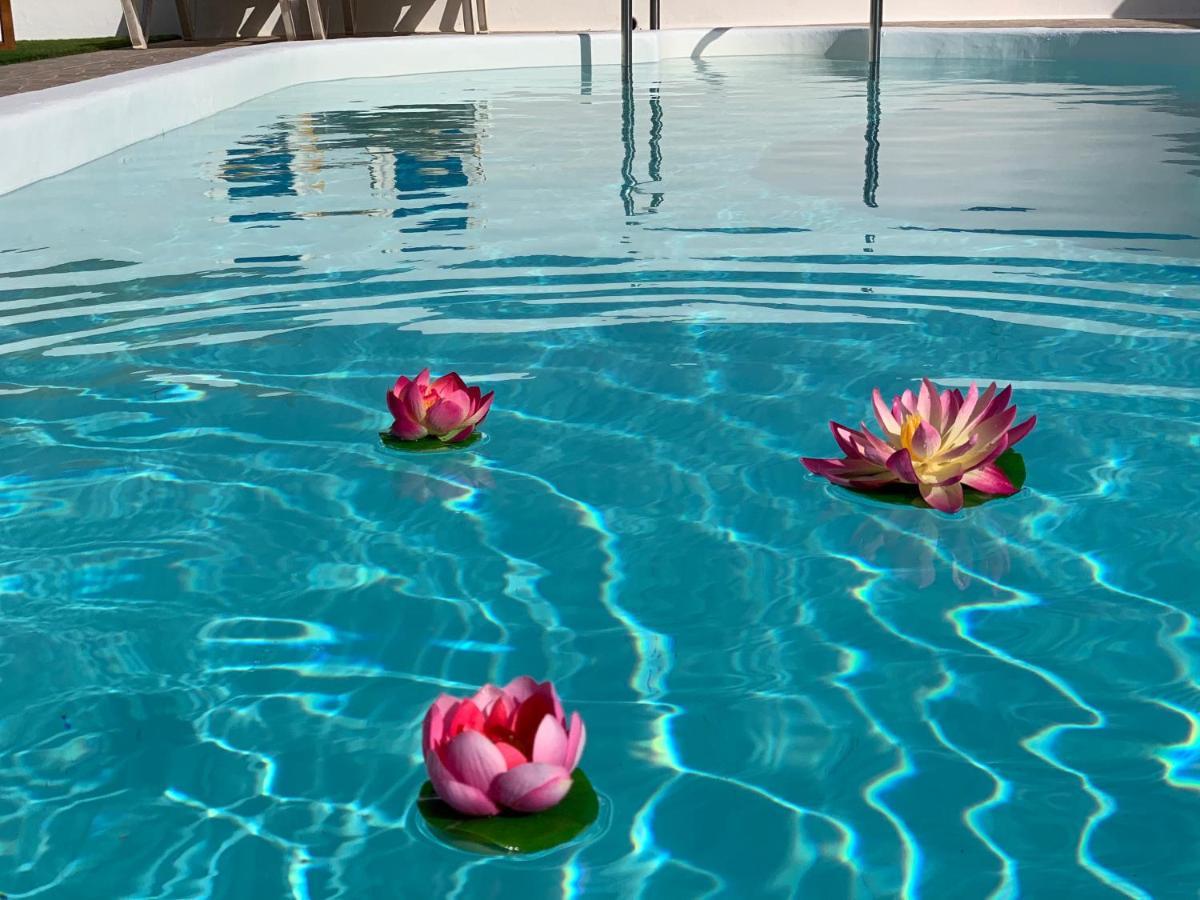 Pico Partido Villa Heated Pool Tinguaton Dış mekan fotoğraf